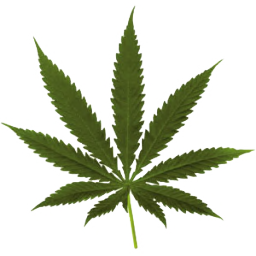 Leaf Left